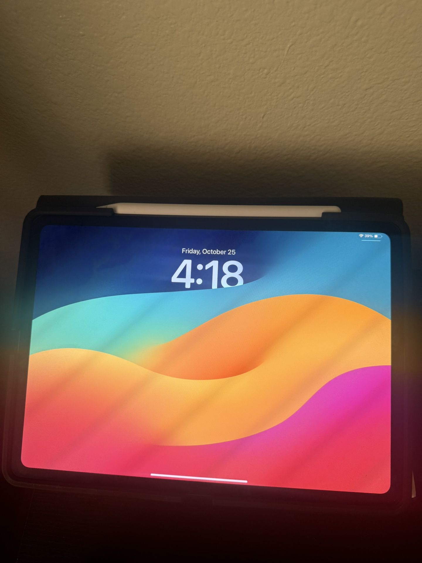 iPad Pro M4 11-inch 256 GB With Pencil/Case