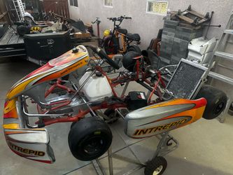 Intrepid 2 stroke go karts