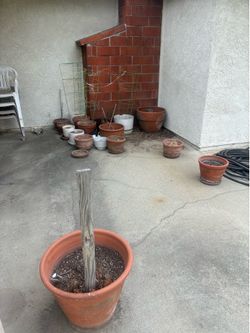 Pots