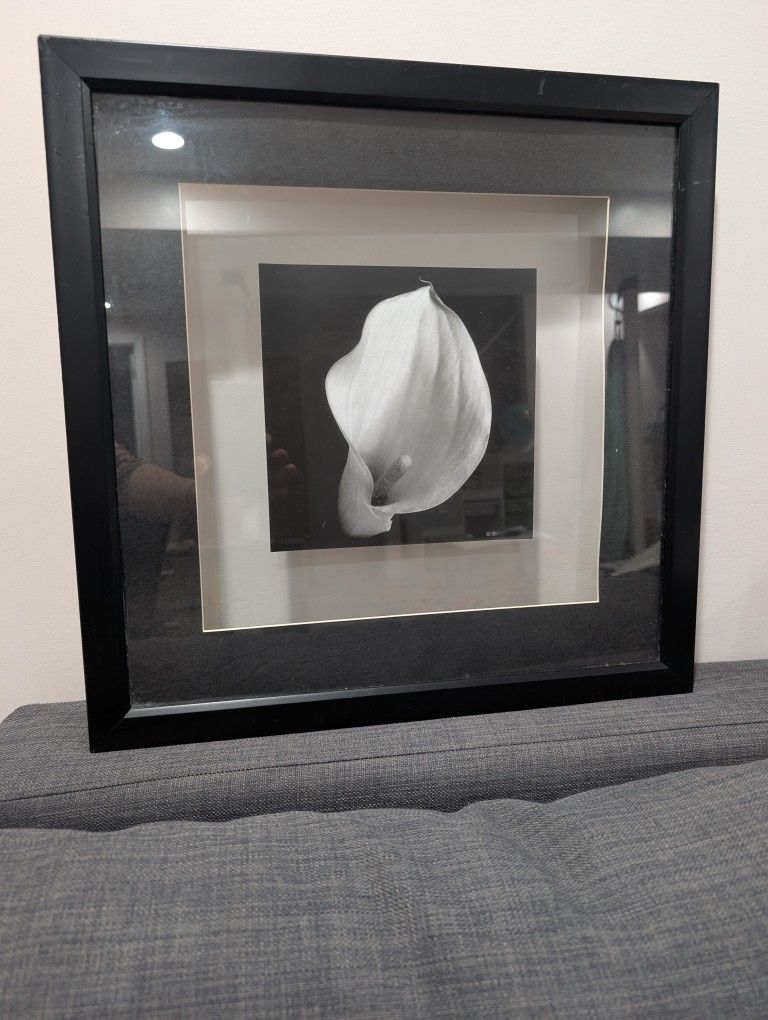 Pretty Wall Art