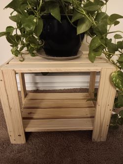 Plant stand/ side table