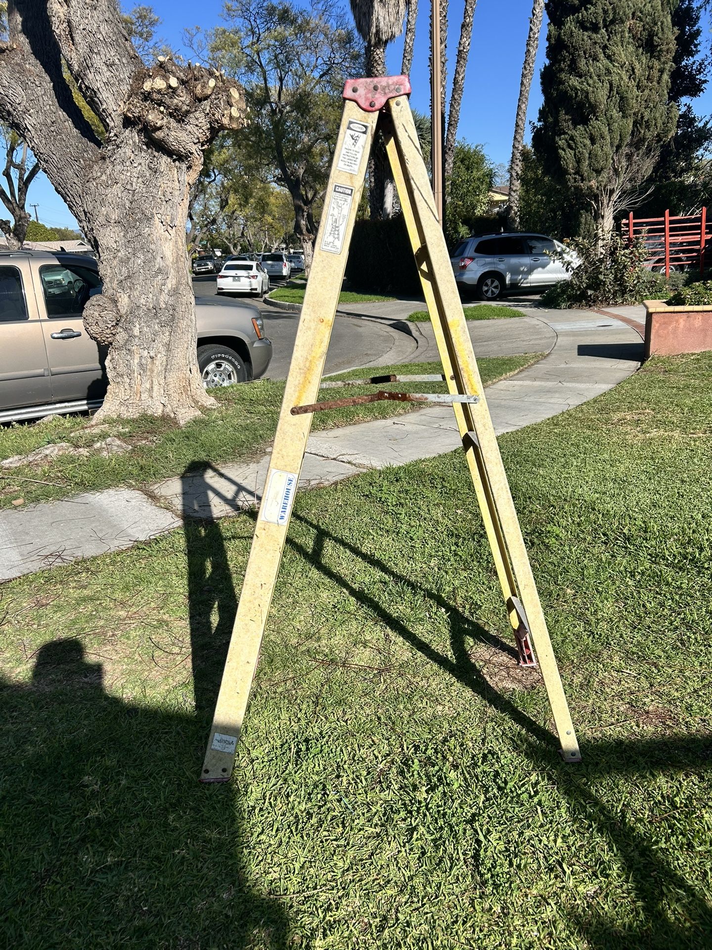 Ladder 6 Ft