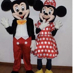 For Sale Mickey And Minnie Costume
