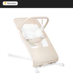 Baby Delight Bouncer 