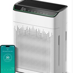 Air Purifier