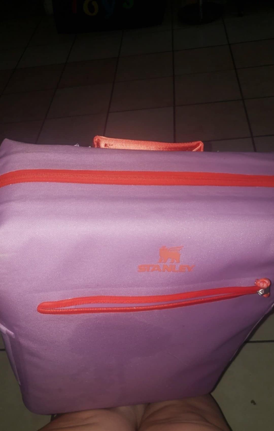 Stanley Cooler Bag