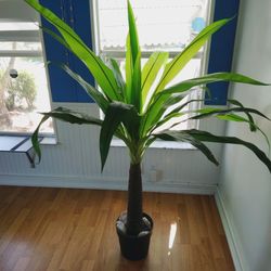 Fake Plants 4 Different Ones