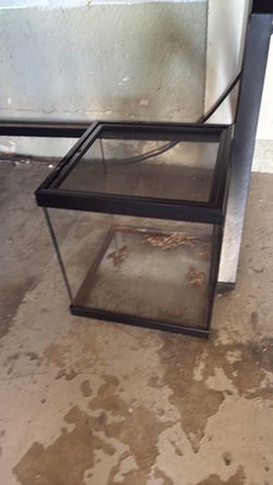 Small Glass Reptile Terrarium with Screen Lid