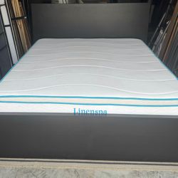IKEA Malm Queen Bed Frame and Mattress