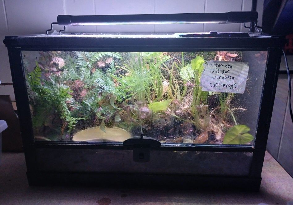Bioactive Front Opening Tank