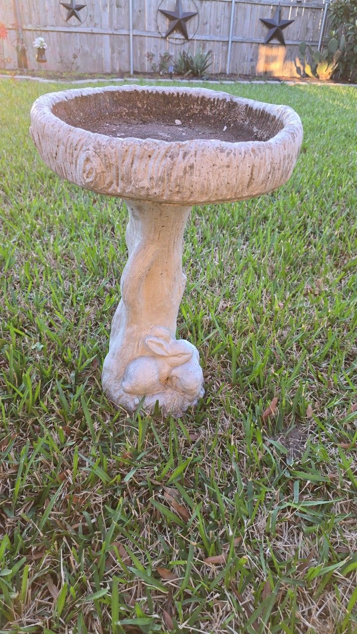 Bird Bath