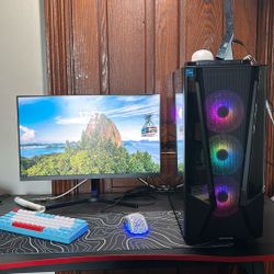 PC and monitor 
