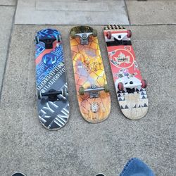 Skate Boards 