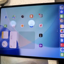 Apple Ipad Pro 13-inch