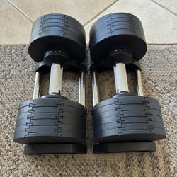 Adjustable Dumbbells | Home Gym 
