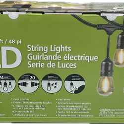 Feit Electric 48' LED Filament String Light - 24 bulbs-waterproof-Indoor/outdoor