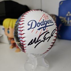 Nomar Garciaparra Autographed Baseball 
