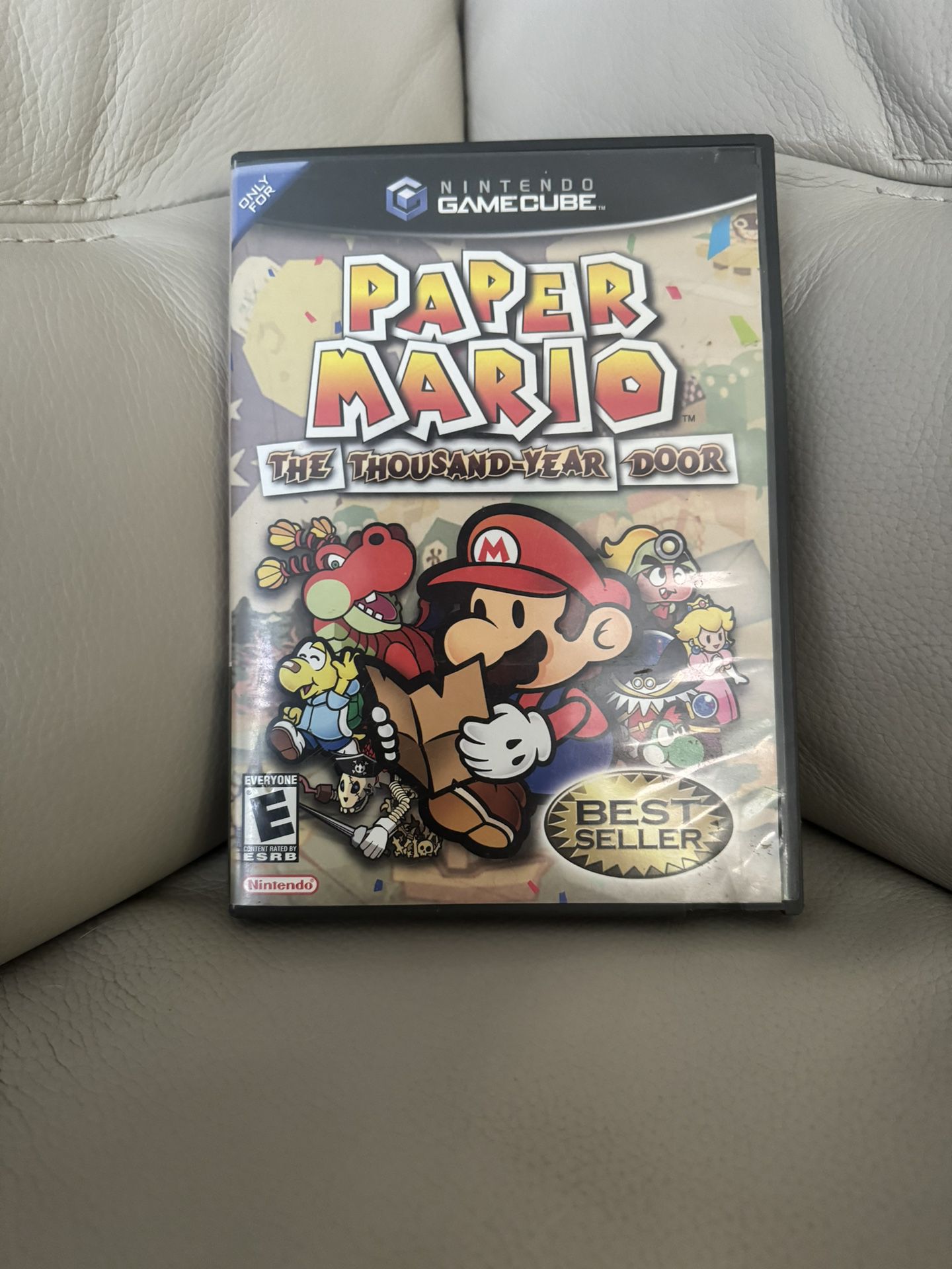 Paper Mario Case & Manual