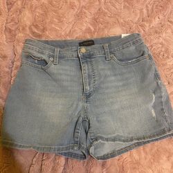 Banana Republic Shorts 