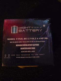 Mighty max battery