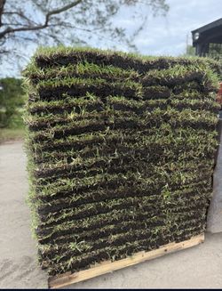 Full Pallets Of Grass Available