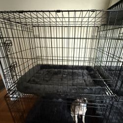 Dog Crate