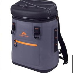 Backpack Cooler $22 Firm On Price 