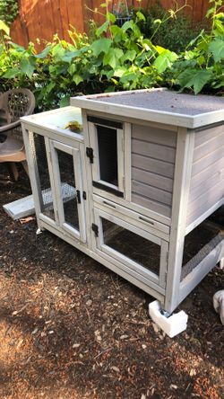 Small animal hutch