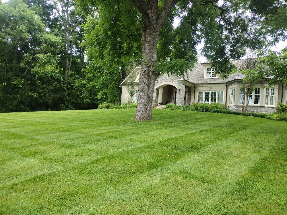 Grass Cuts