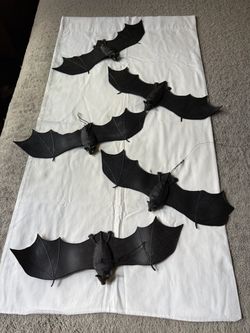 Set of 5 vintage Halloween bats