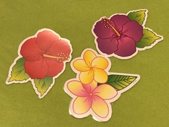 Bulletin Board Decorations Hawaiian Hawaii Flowers