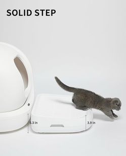 Cat Litter Ramp/Step