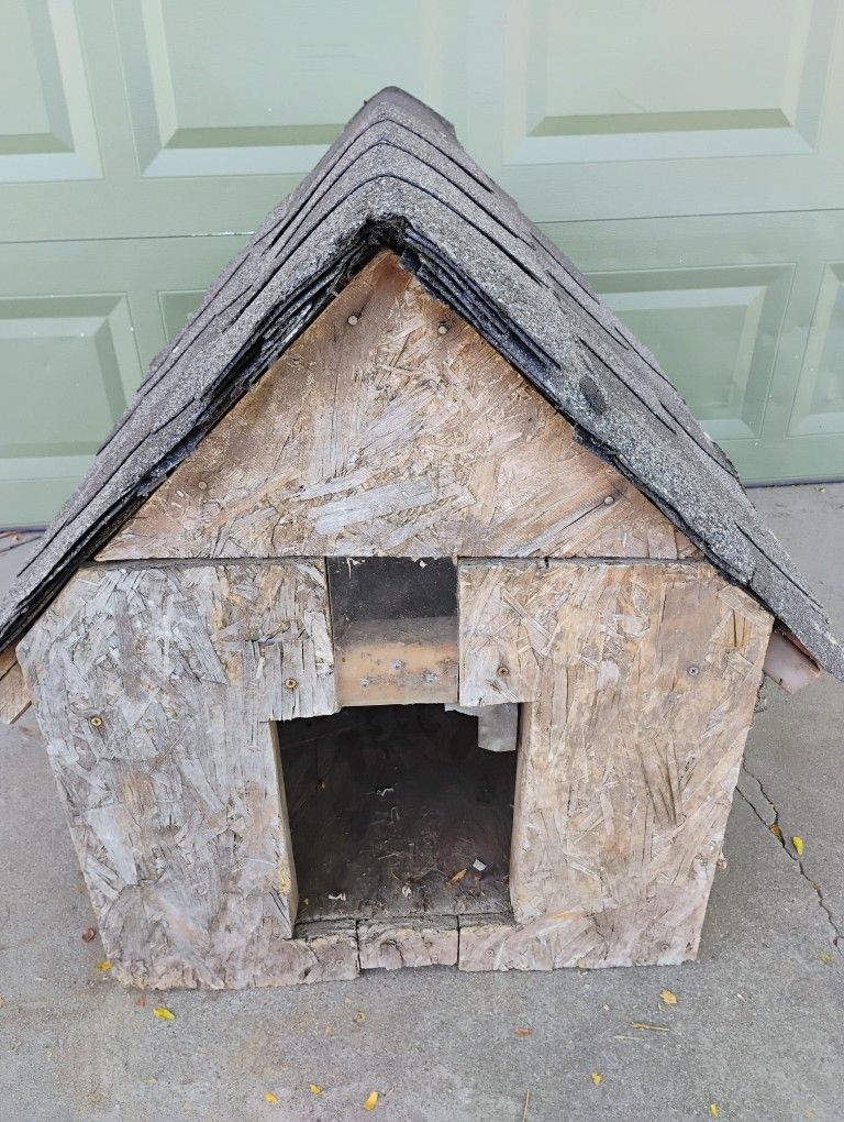Dog House