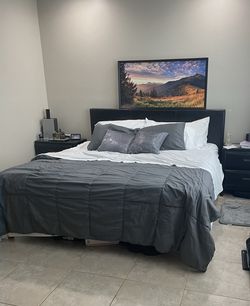Beautiful Large Frame Picture