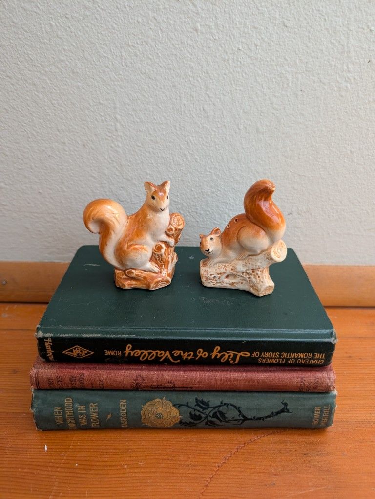 Vintage Occupied Japan Squirrel Salt And Pepper Shakers