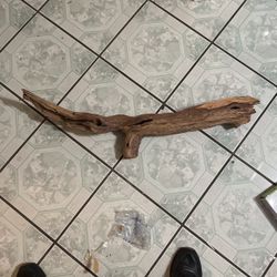 Drift Wood