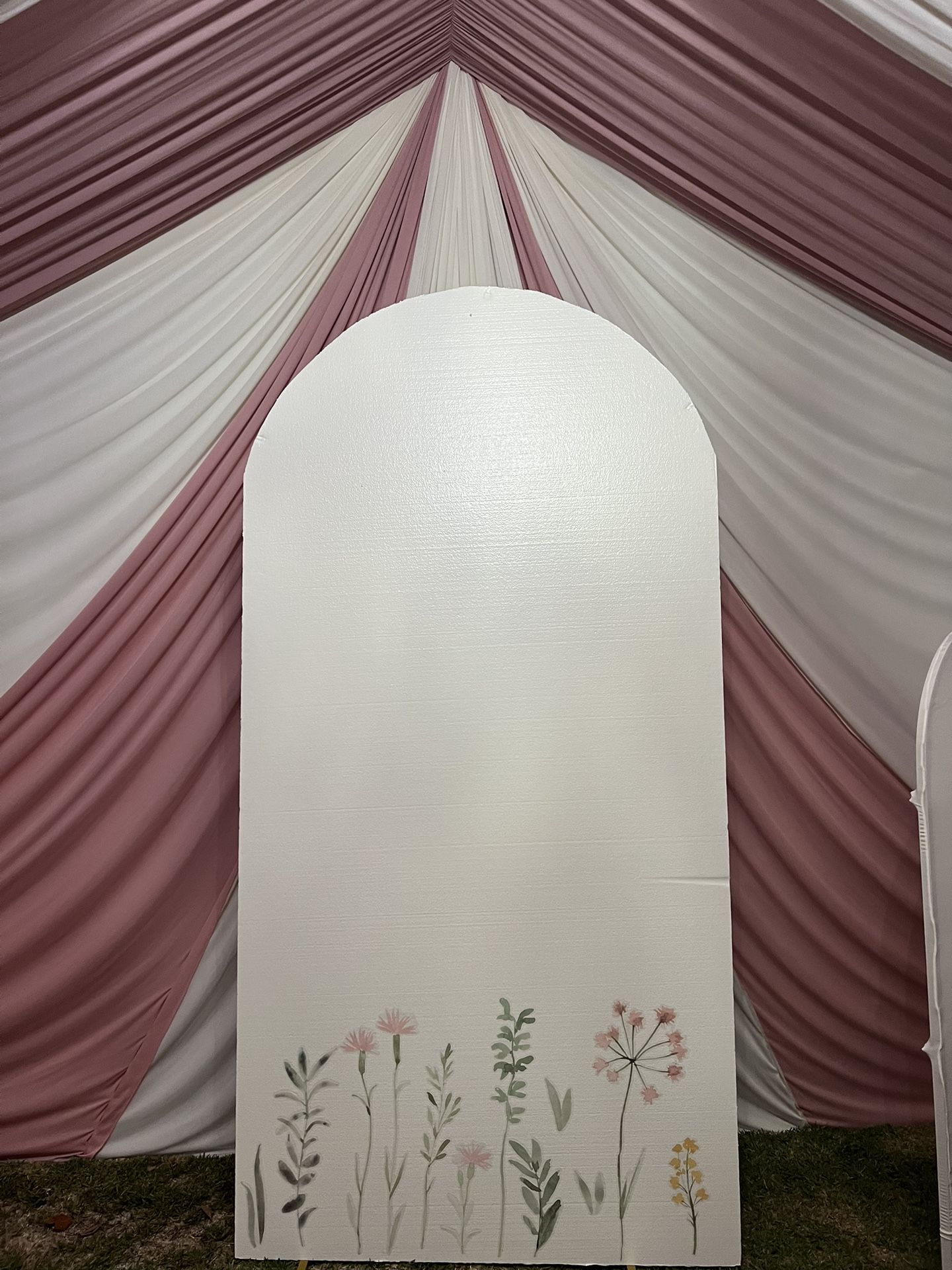 backdrop 