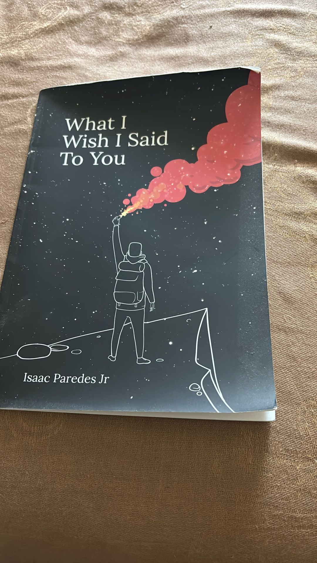 What I Wish I Said To You Book