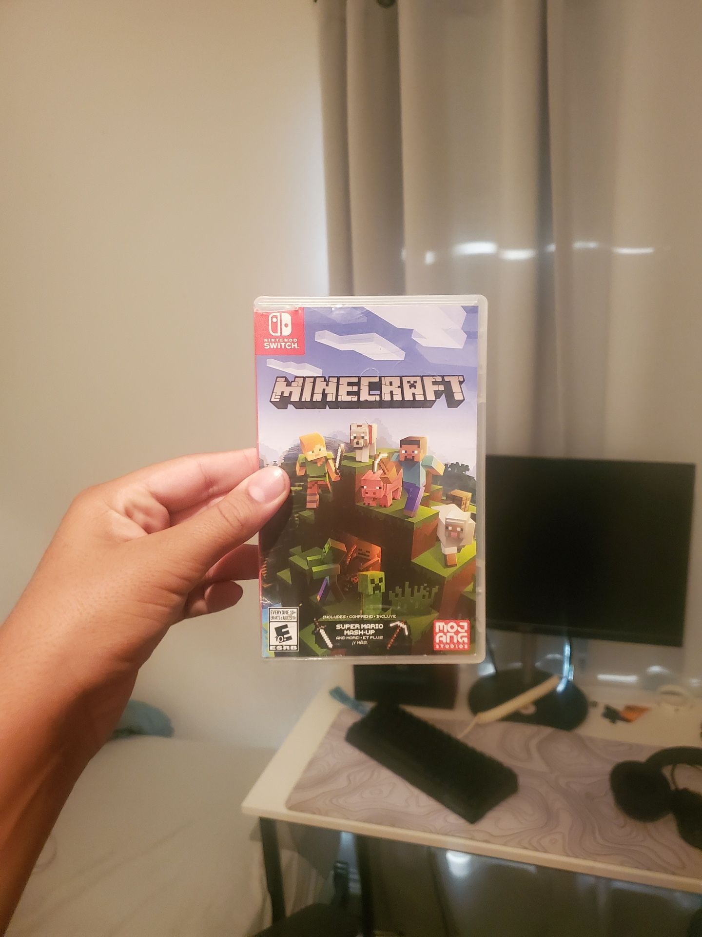 Minecraft Nintendo Switch