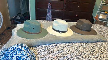 Brim hats