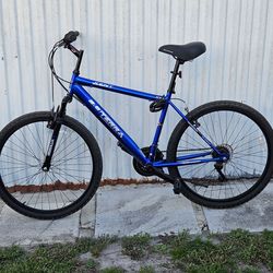 Kent Mountain Bike - Metallic Sapphire Blue