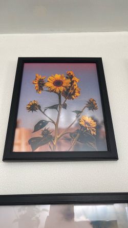 Photography Prints for Sale