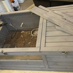 Tortoise Habitat 