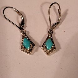 Sleeping Beauty Turquoise Earrings 
