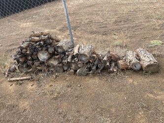 Free firewood
