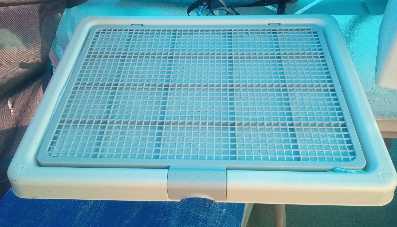 Dog Potty Tray