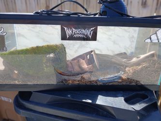 Reptile or snake tank with top and lamps