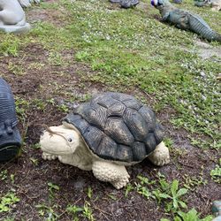 Concrete Tortoise Statue