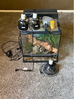 Reptile Terrarium