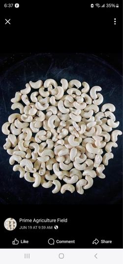 W240 Jumbo whole cashews nut